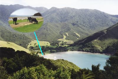 Index of the Highlights of 1998